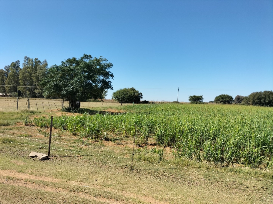 Commercial Property for Sale in Bainsvlei Free State